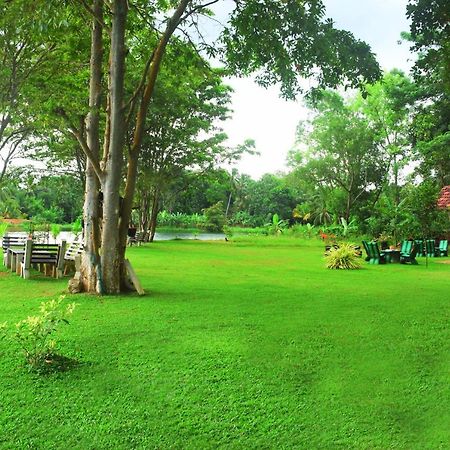 Canal Side Safari Resort Udawalawe Bagian luar foto