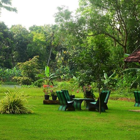 Canal Side Safari Resort Udawalawe Bagian luar foto