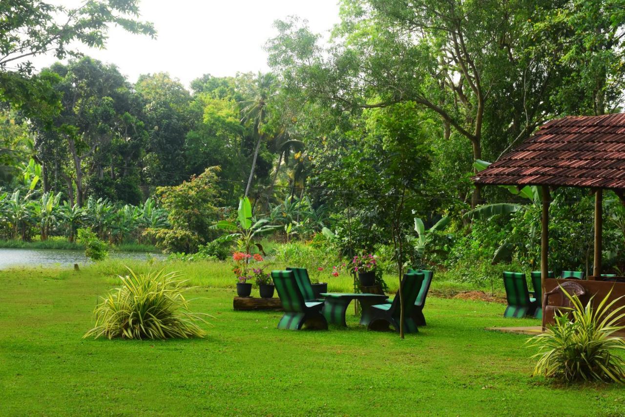Canal Side Safari Resort Udawalawe Bagian luar foto