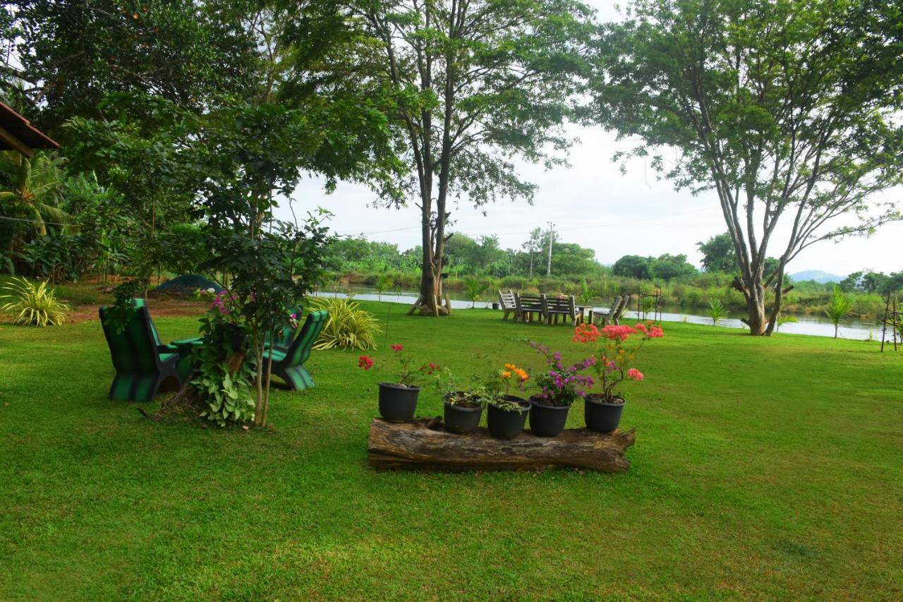 Canal Side Safari Resort Udawalawe Bagian luar foto