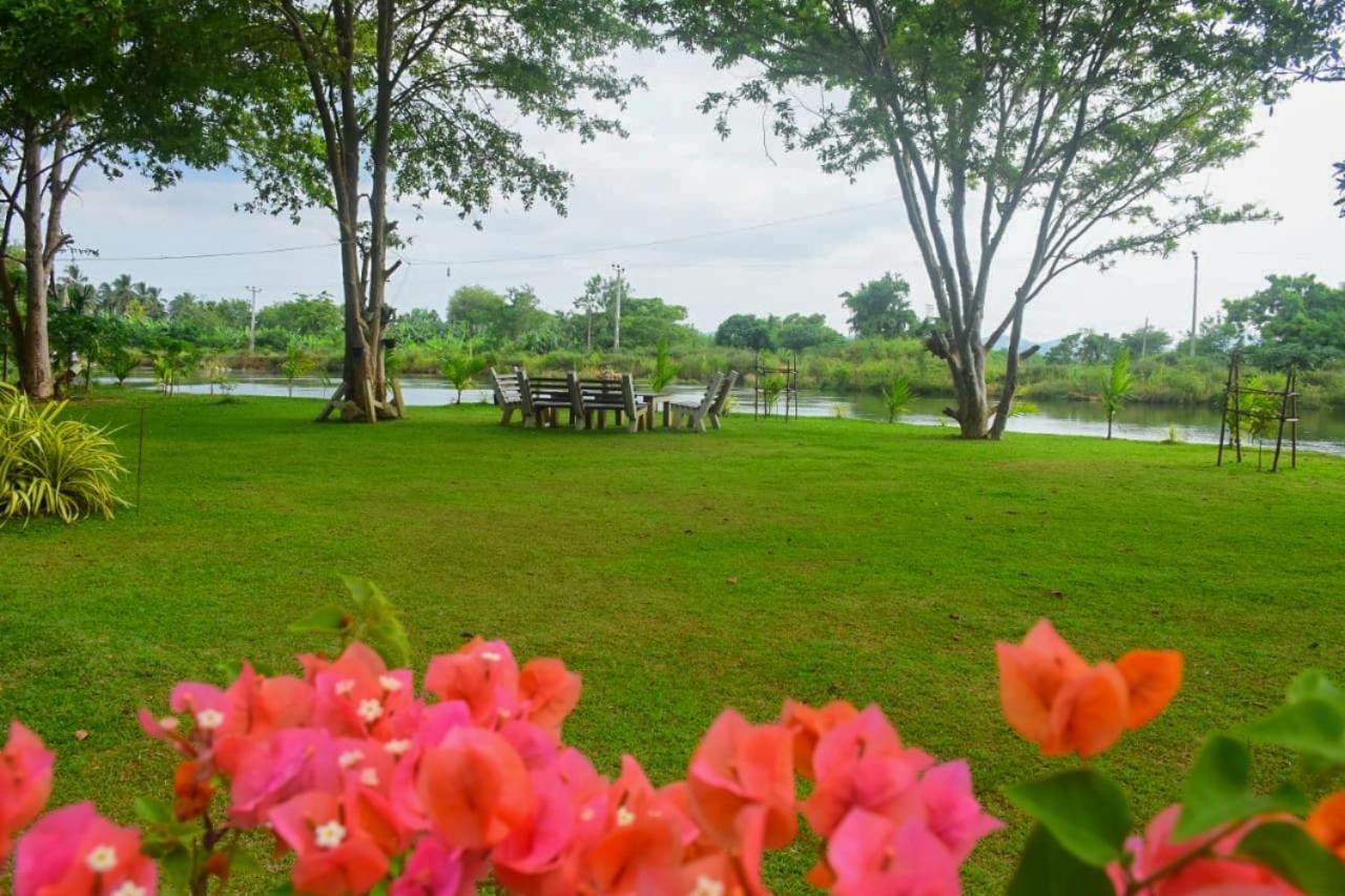 Canal Side Safari Resort Udawalawe Bagian luar foto