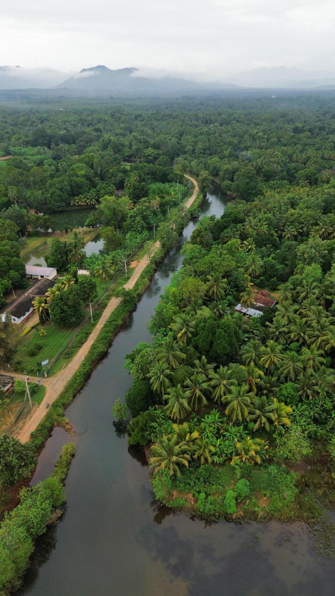 Canal Side Safari Resort Udawalawe Bagian luar foto