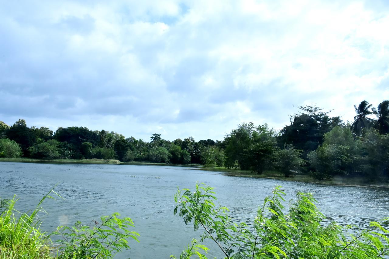 Canal Side Safari Resort Udawalawe Bagian luar foto